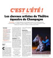 Rencontre avec les chevaux artistes du Théâtre équestre de Champagne