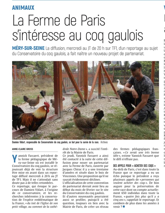 La Ferme de Paris s’intéresse au conservatoire du coq gaulois
