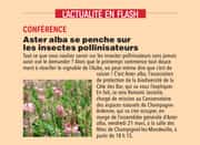 Nos Aubassadeurs d'Aster alba se penche sur les insectes pollinisateurs