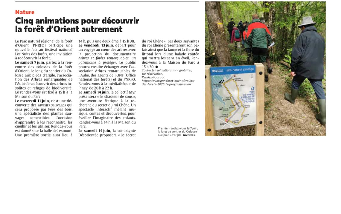 Cinq animations pour découvrir la forêt d’Orient autrement