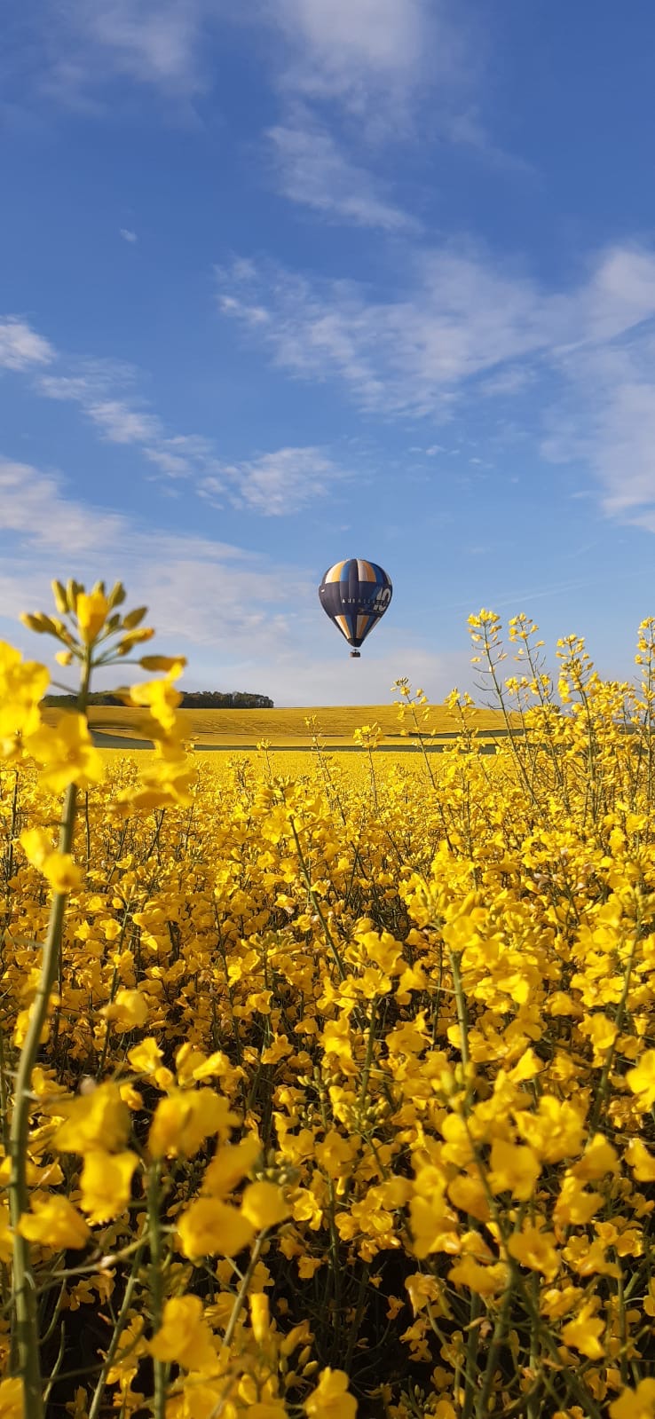 Avec le soleil, premiers vols pour notre montgolfière !