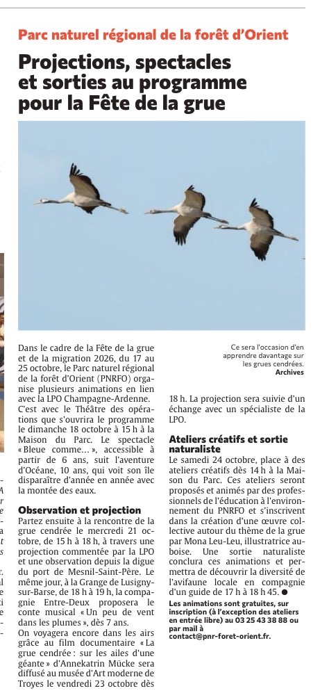 Projections, spectacles et sorties au programme pour la Fête de la grue