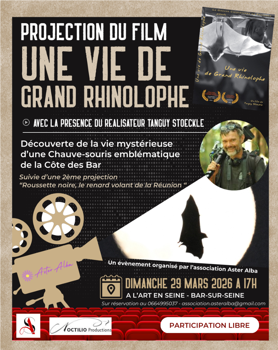 Aster Alba : projection évènement à L'Art en Seine.