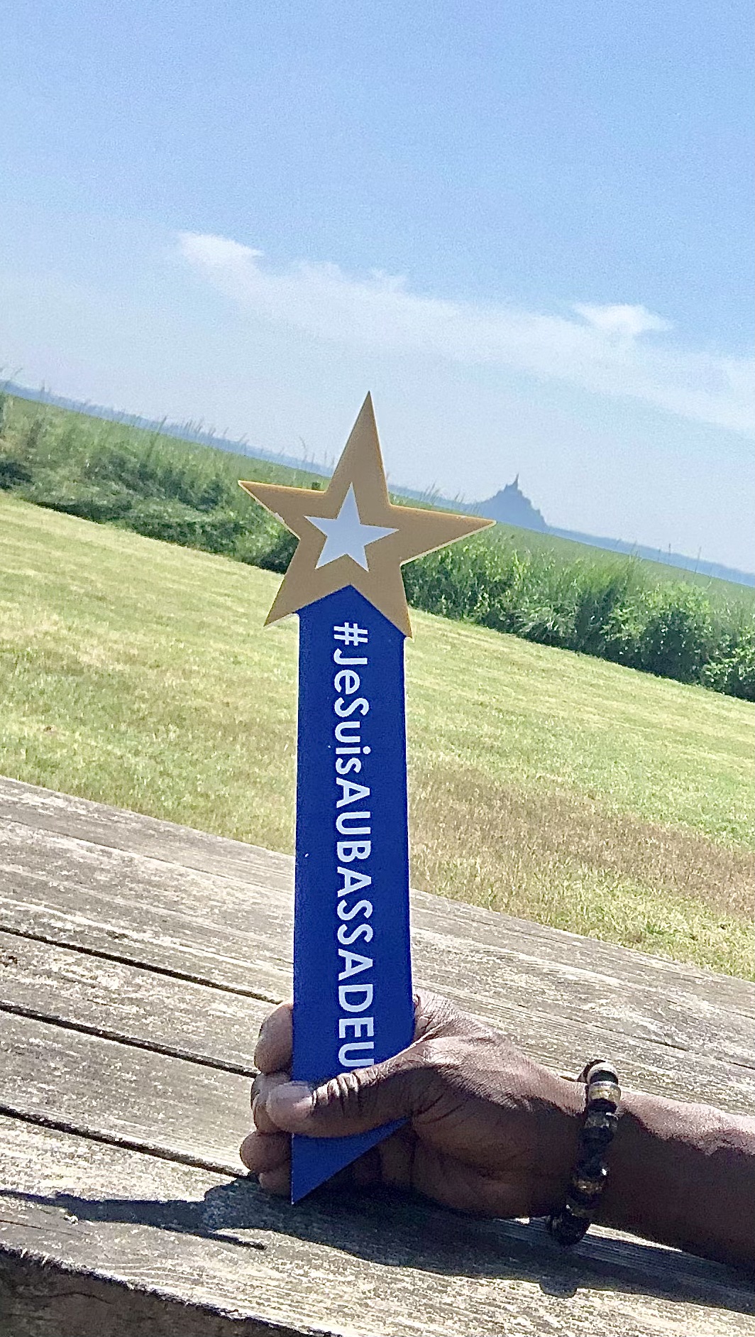 Et toi quelle est ta photo avec l'étoile Aubassadeurs  en 2025 ?