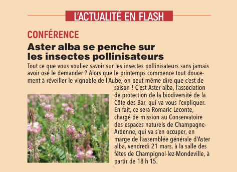 Nos Aubassadeurs d'Aster alba se penche sur les insectes pollinisateurs