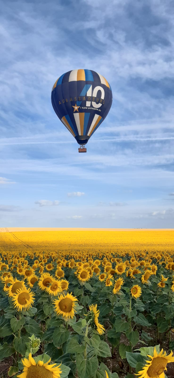 Aubassadeurs Air Fly .... seulement du matin !